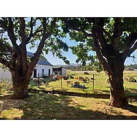 Tevrede Farm Accommodation image